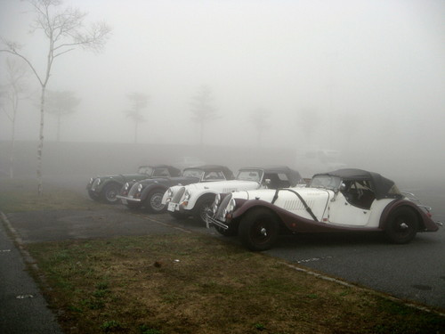 Photo_7