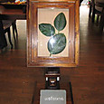 Zxwelcome_board