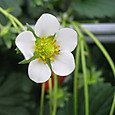 Photo_4
