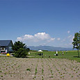 Msccj_053