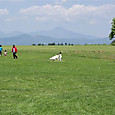 Msccj_055