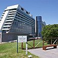 Msccj_062