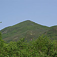 Msccj_115