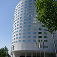 Msccj_221