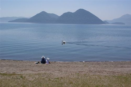 Msccj_044