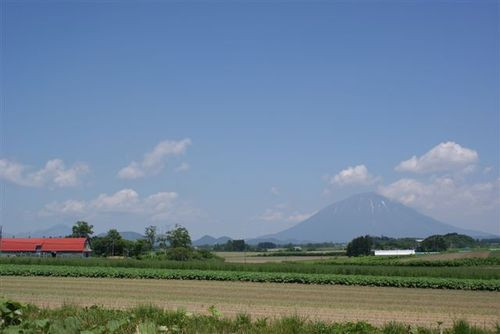 Msccj_051