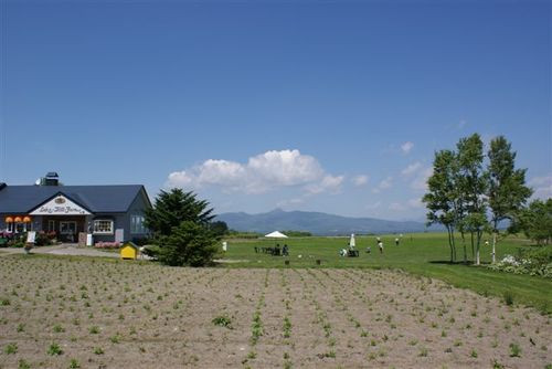 Msccj_053