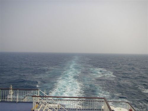 Msccj_210