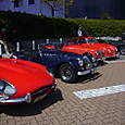 Mini_p1050066