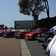 Mini_p1050069