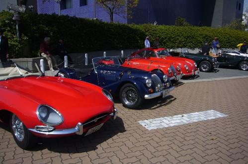 Mini_p1050066
