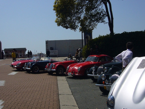 Mini_p1050069