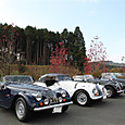 Img_3016_medium