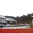 Img_3021_medium