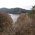 Img_3104_medium
