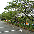 P1020015