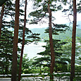 P1020052