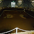 P1020322