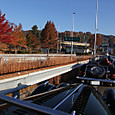 Img_0461_800x533