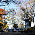 Img_0484_800x533