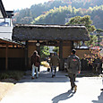 Img_0781_800x533