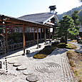 Img_0784_800x533