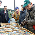 Mini_p1050263
