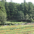 Mini_dsc01832