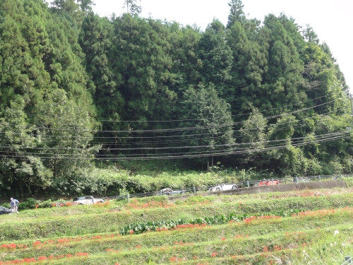 Mini_dsc01832