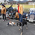 201211246