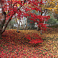 2012112529